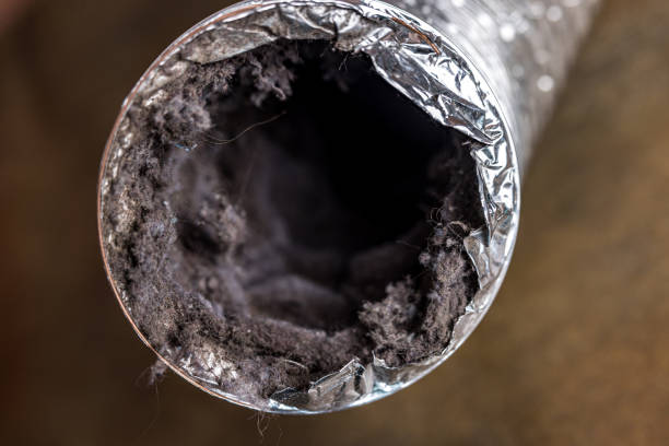 Best Air Duct Cleaning Near Me  in Santa Clarita, CA